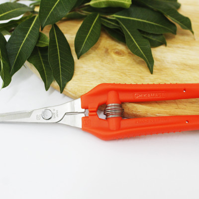 Kéo tỉa cành cao cấp Nhật Bản Chikamasa TP-530S