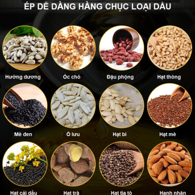 Máy ép dầu thực vật chuyên dụng dùng trong gia đình thương hiệu cao cấp Septree X8S - Hàng Nhập Khẩu
