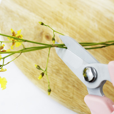 Kéo cắt hoa quả cao cấp Nhật Bản Chikamasa MF-9000P