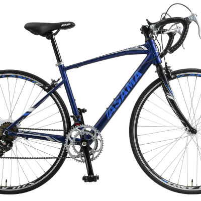 Xe đạp asama SL2804 tay cong