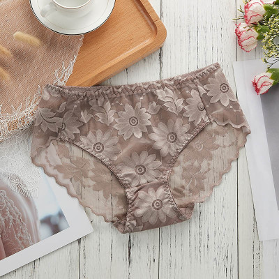 COMBO 5 QUẦN BÔNG ÉP HOA CÚC SEXY 817