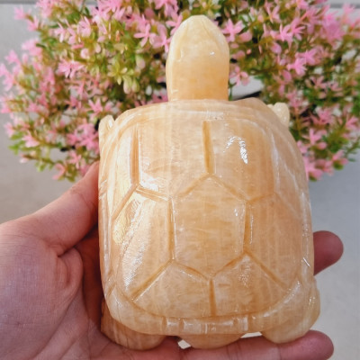 Cụ Rùa phong thủy 12cm đá tự nhiên tạc tay