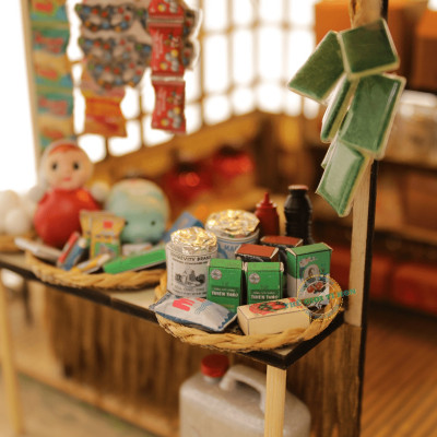 MÔ HÌNH MIỀN TÂY TỰ LẮP RÁP DIY - ĐIỆU HÒ PHƯƠNG NAM - MT02