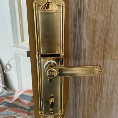 Khóa vân tay tân cổ đại sảnh DEMAX SL822 Gold