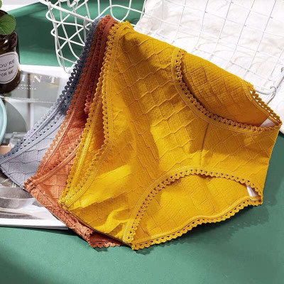 Quần Lót Cotton Kháng Khuẩn Viền Ren ( Mã B296)