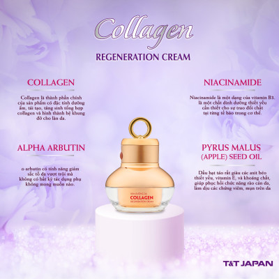 KEM DƯỠNG DA COLLAGEN REGENERATION CREAM