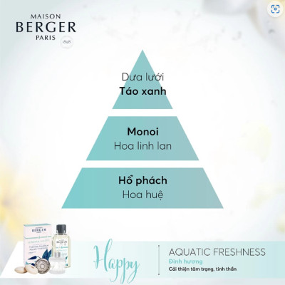 Maison Berger - Bộ tinh dầu xe hơi hương Aroma Happy - 2 cái