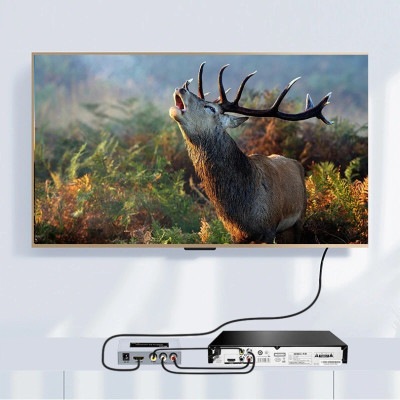 Bộ chuyển đổi video AV sang HDMI Dtech DT-7005A full HD. Hàng chính hãng !!! 