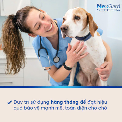Nexgard Spectra - Phòng Và Diệt Ve Rận, Bọ Chét, ghẻ Demodex Nội Và Ngoại Ký Sinh Trùng Cho Chó