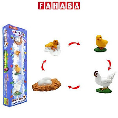 Đồ Chơi Mô Hình Vòng Đời Tự Nhiên - Gà Trống Lớn Lên Như Thế Nào? - Firstar DK81255