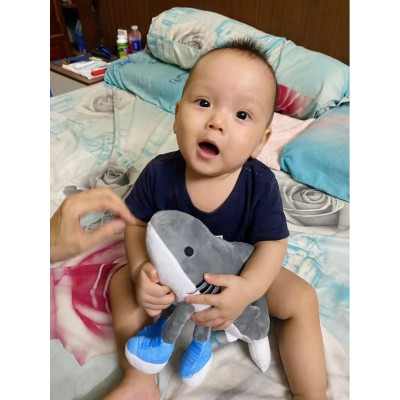 Tung tung sahur gấu bông brainrot đồ chơi bombardino crocodilo ship HOẢ TỐC TPHCM