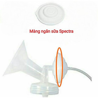 Màng ngăn sữa Spectra - Phụ kiện thay cho chặn sữa / Protector