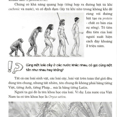 Hỏi Đáp Về Mọi Chuyện - Khoa Học Tự Nhiên, Khoa Học Xã Hội, Sức Khỏe - Đời Sống - HNB