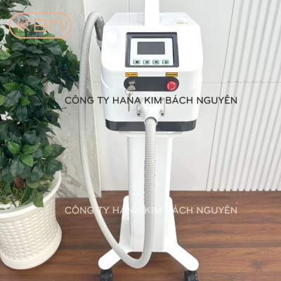 Máy Xóa Xăm Loại Bỏ Sắc Tố Da RG 193+ ND YAG