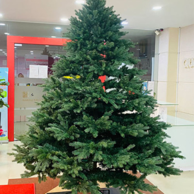 Cây thông Pe cao cấp 1m5 - Cây thông noel PE -  Cây tự động bung cành
