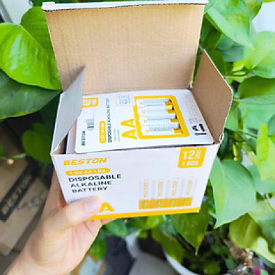 Hộp 48 Pin kiềm Beston Alkaline AA AAA 1.5V cho Micro karaoke, đồ chơi , điều khiển