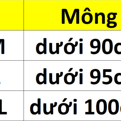 COMBO 5 QUẦN THÔNG HƠI PHỐI REN MASSAGE