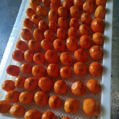 Hồng sấy dẻo Đà Lạt 500g