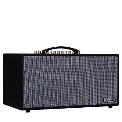 Dàn âm thanh di động xách tay ACNOS CS450SRV