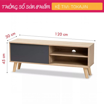 Kệ tivi gia đình đẹp kiểu dáng nhỏ gọn SMLIFE Tokajin