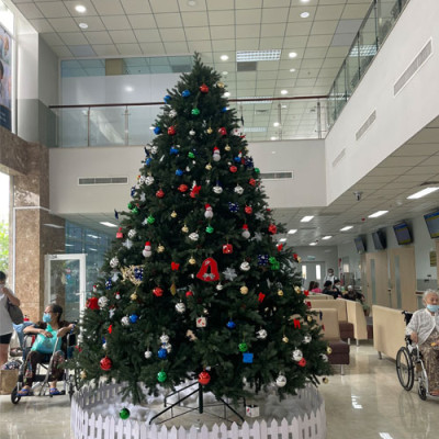Cây thông Pe cao cấp 1m5 - Cây thông noel PE -  Cây tự động bung cành