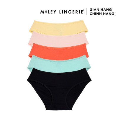 Combo 5 Quần Lót Nữ Modal Co Giãn, Thoải Mái BigSize Miley Lingerie [2XL-5XL]