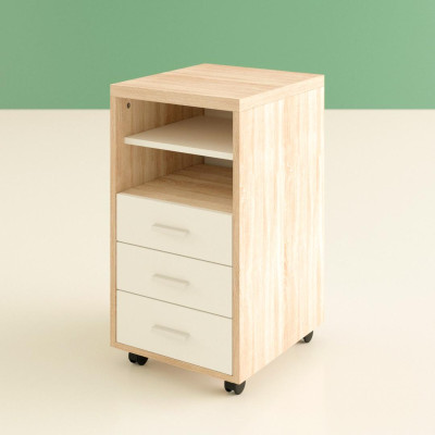 Tủ để tài liệu gỗ công nghiệp MDF chắc chắn SMLIFE Fidel