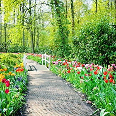 Tranh Dán Tường LN 0331