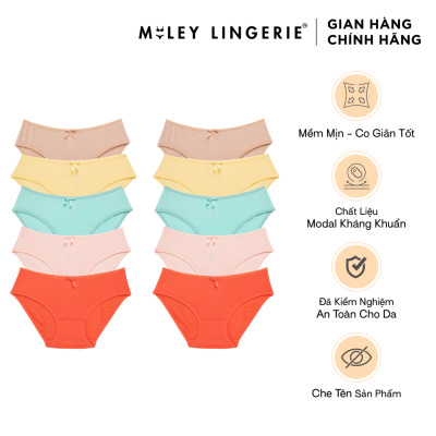 Combo 10 Quần Lót Nữ Modal Bigsize [2XL-5XL] - BCS04