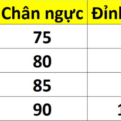 Áo ngực mỏng thêu hoa cài trước có gọng