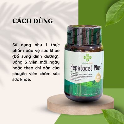 Thực phẩm bảo vệ sức khỏe Tăng cường chức năng gan Hepatocel Plus Teresa Herbs (Lọ 90 viên)