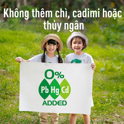 Vỉ Pin than đen Panasonic AAA R03NT/2S-V (2 viên/10 viên) - Hàng chính hãng