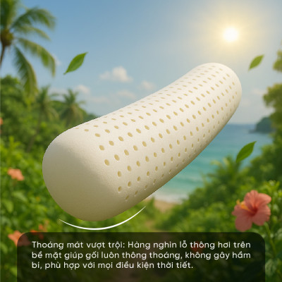 Gối Ôm Cao Su Kim Cương Honey KCGO20100 (20 x 100 cm) - Trắng