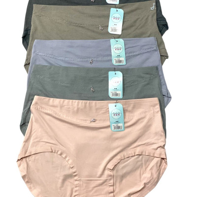 Quần Lót Nữ Cotton Lụa Trơn Lưng Cao Big Size 168 – Ôm Sát, Êm Ái & Tôn Dáng