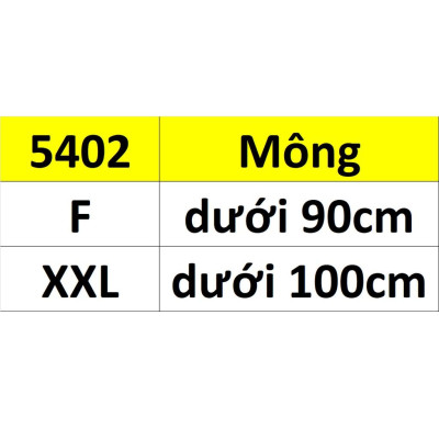 Combo 5 quần lót nữ voan phối ren Beautiful Spring 5402 – Mỏng nhẹ, thoáng mát