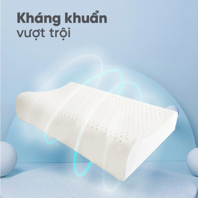 Gối Cao Su Vạn Thành Dợn VTGCSD4563 (45 x 63 cm) - Trắng
