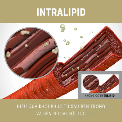 Tinh Chất 6 Tác Động Phục Hồi Tóc Hư Tổn Goldwell Rich Repair Dưỡng Tóc Mềm Mượt, Chắc Khỏe 100ml