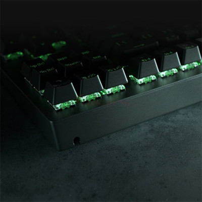 Bàn phím cơ có dây Gaming Razer BlackWidow V3 Tenkeyless - Hàng chính hãng