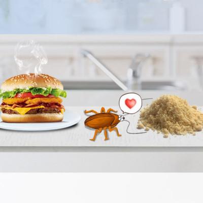 Thuốc Diệt Gián Hộp 12 Viên, Diệt Tận Gốc, Dễ Sử Dụng, Tác Dụng Lâu Dài, An Toàn