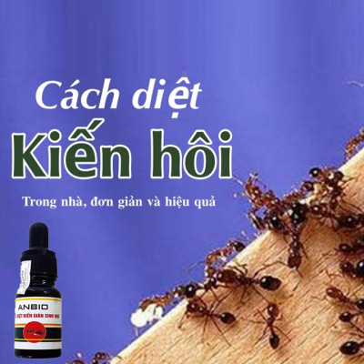 Chế Phẩm Diệt Kiến Gián Sinh Học Anbio Sử Dụng An Toàn Chai 10 ml