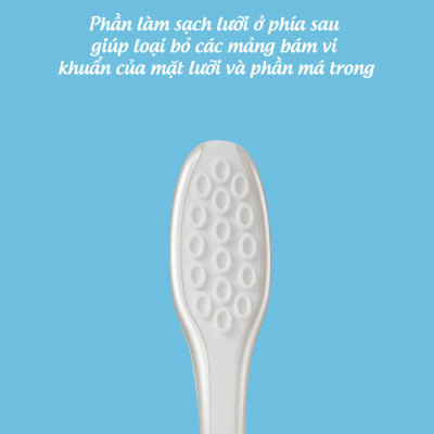 Bàn Chải Đánh Răng Trisa Pro Interdental