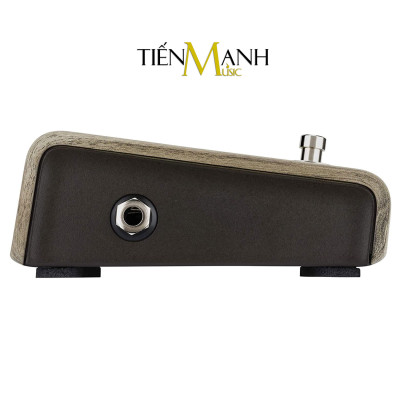 Align Series Active DI L.R. Baggs Acoustic Guitar Pedal Thiết bị tạo hiệu ứng âm thanh LR Baggs Hàng Chính Hãng USA - Kèm Móng Gẩy DreamMaker