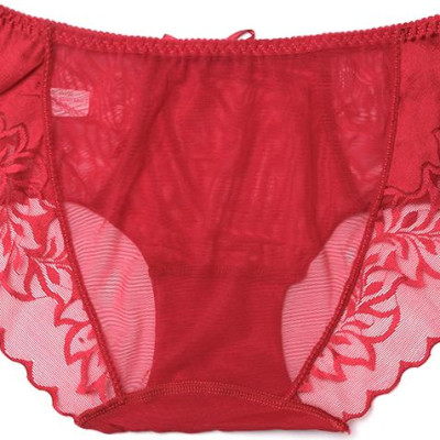 Bộ 5 Quần Lót Ren Lưới - Màu ngẫu nhiên (Freesize)