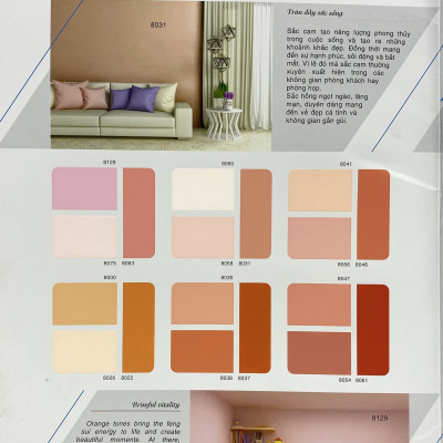 Sơn phào chỉ cho trần nhà Toa 4 Seasons Top Silk  màu B- 8096 _1L