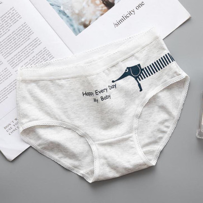 Sét 5 Quần Lót Cotton ( Mã B231)