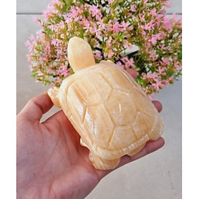 Cụ Rùa phong thủy 12cm đá tự nhiên tạc tay