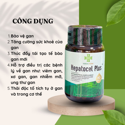 Thực phẩm bảo vệ sức khỏe Tăng cường chức năng gan Hepatocel Plus Teresa Herbs (Lọ 90 viên)