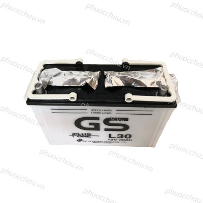 Bình Ắc Quy Nước 12V-30Ah, Ắc Quy Ô Tô GS L30