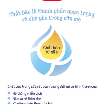 Combo 4 Sữa bột công thức Semper Bifidus số 1 400g/hộp