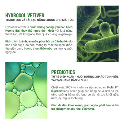 Gel Tắm Gội Lá Khế Bồ Hòn Heebee